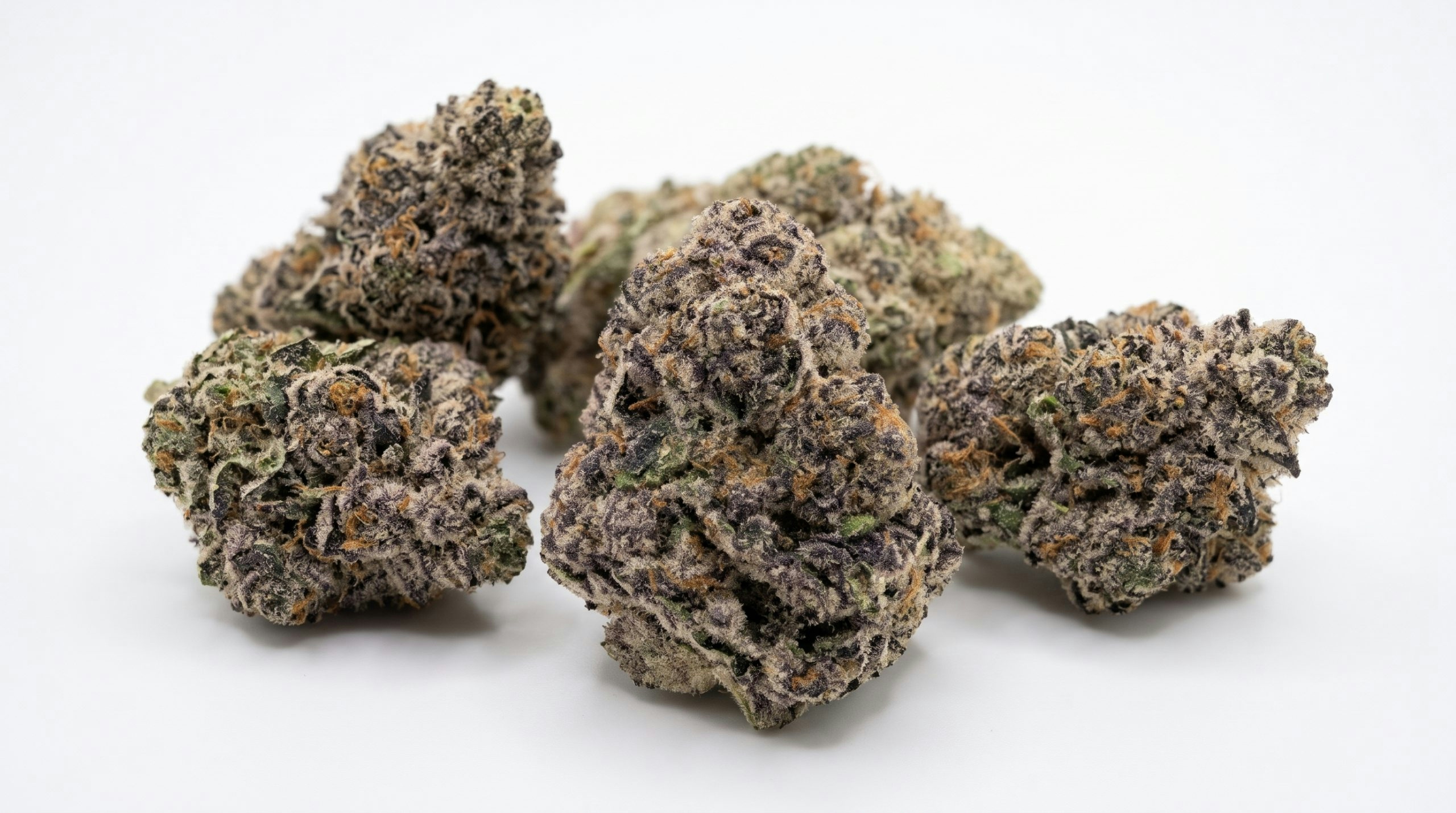 buds of the dirty fanta strain