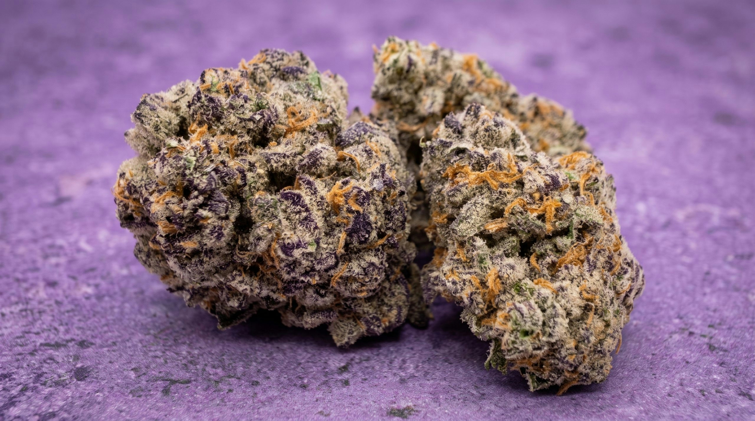 dirty fanta strain over a purple background