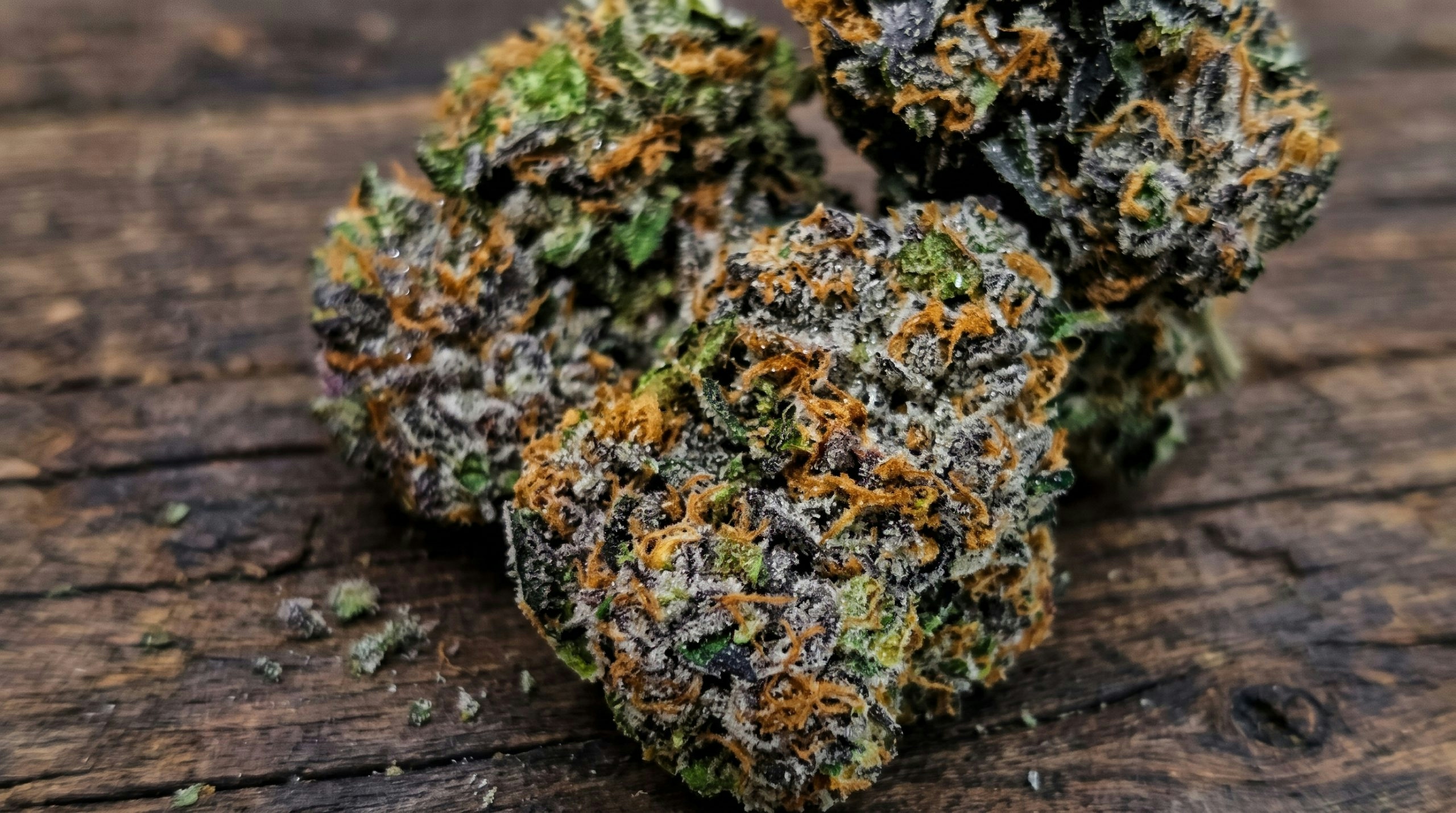 cannabis buds on a wooden table